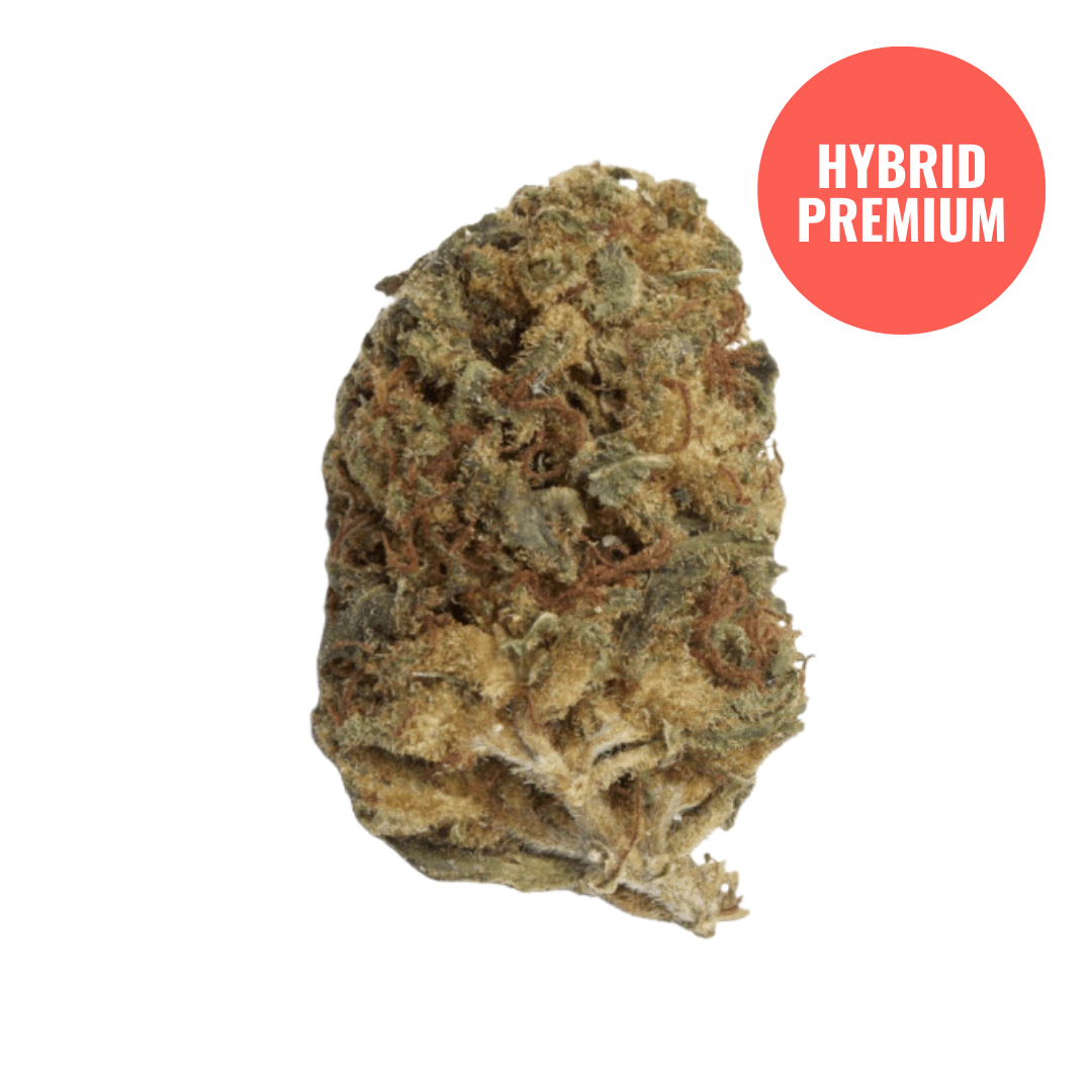 Premium High THCA Flower Killer Cupcake (H) / 1G